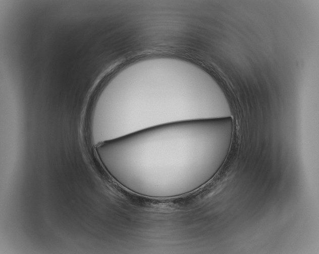 X0000113000396200908270924