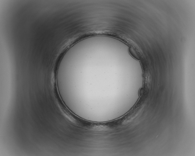 X0000113000397200908270924