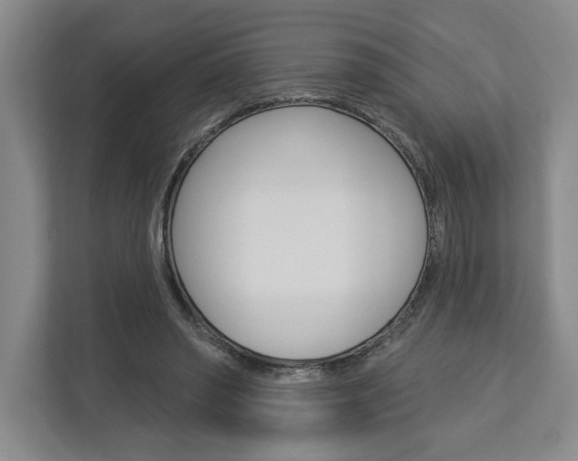 X0000113000398200908270924