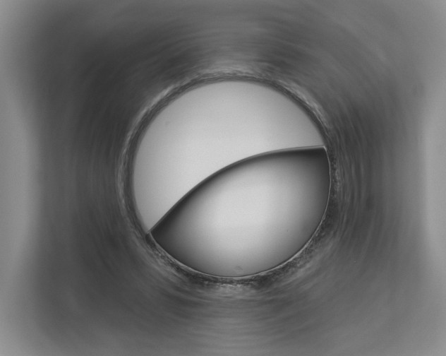 X0000113000399200908270924