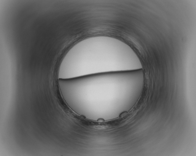X0000113000404200908270924