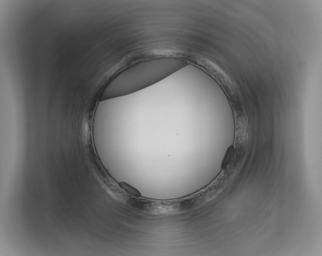 X0000113000405200908270924