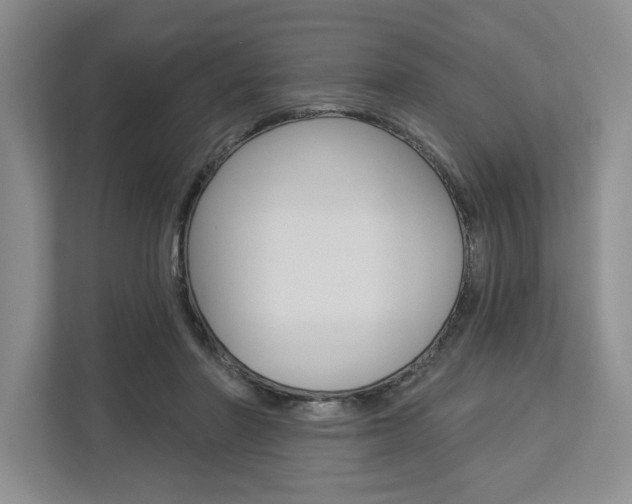 X0000113000406200908270924