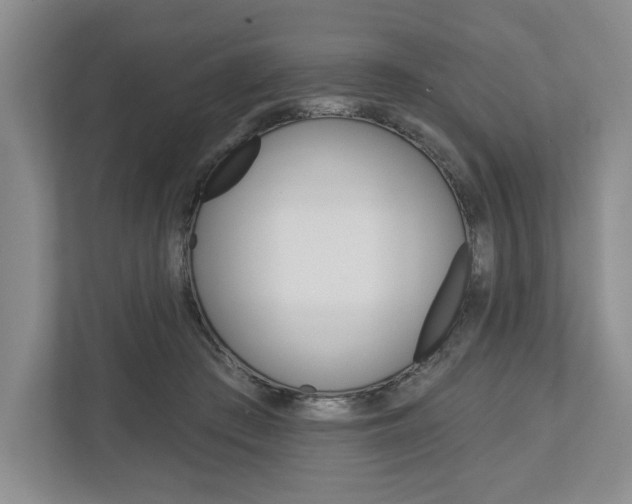 X0000113000409200908270923
