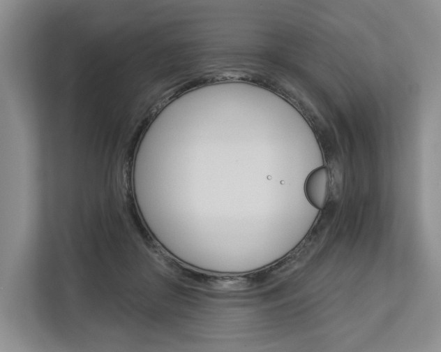 X0000113000410200908270923