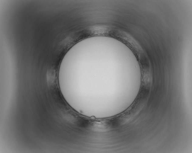 X0000113000411200908270923