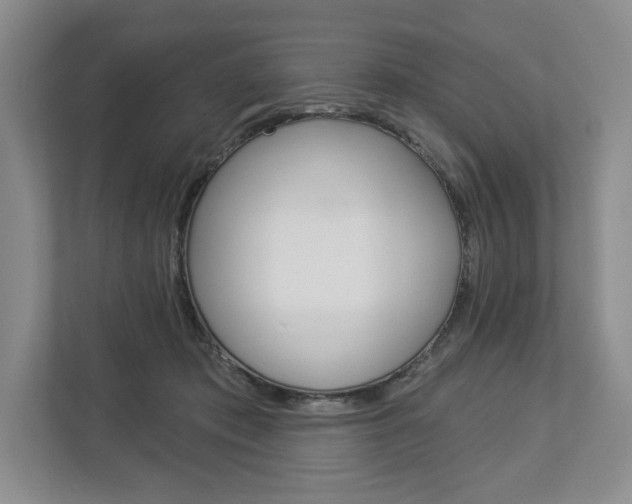 X0000113000413200908270923