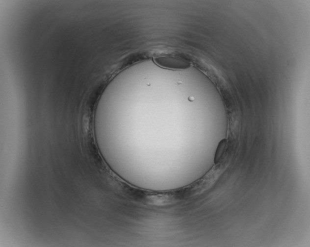 X0000113000417200908270923