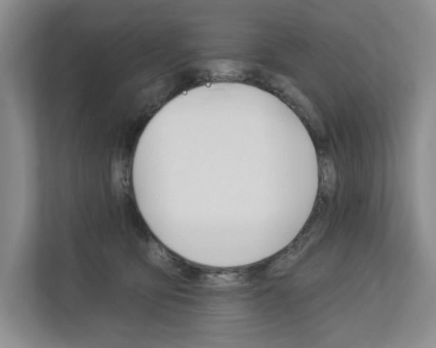X0000113000419200908270923