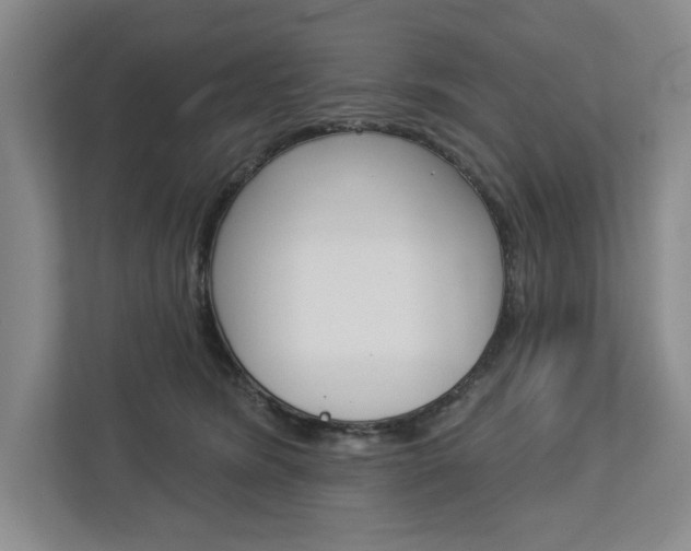 X0000113000420200908270923