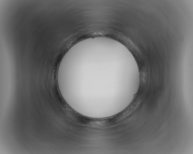 X0000113000422200908270923