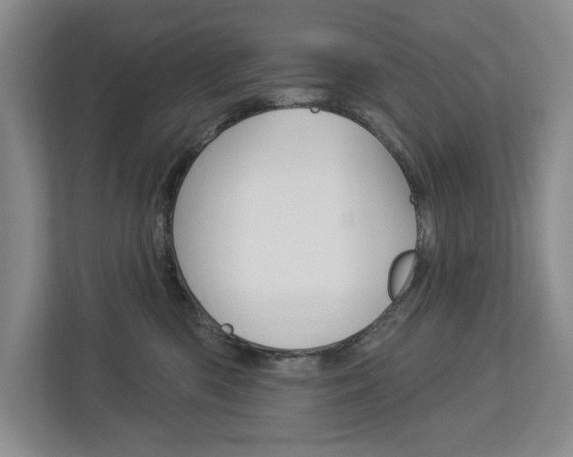 X0000113000426200908270923