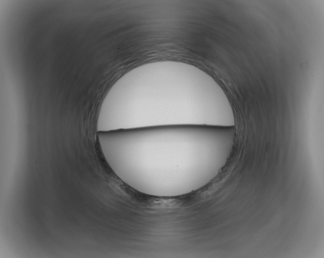 X0000113000428200908270923