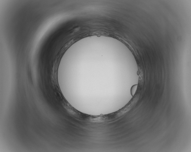 X0000113000430200908270923