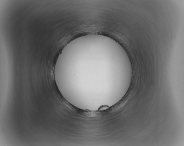 X0000113000432200908270923