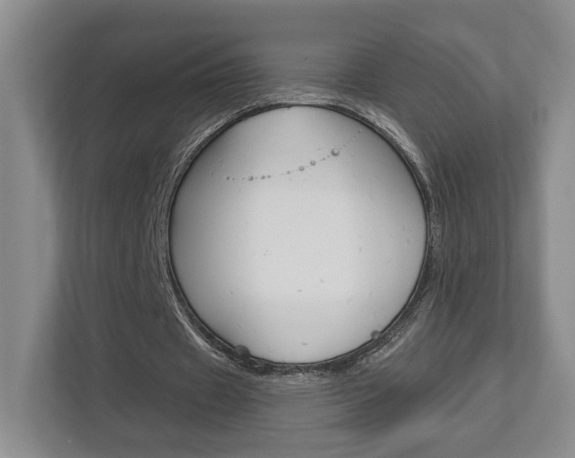 X0000113000433200908270923