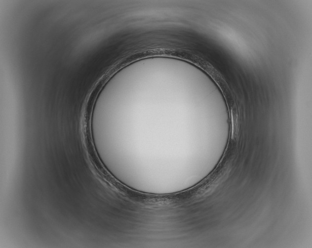 X0000113000435200908270923