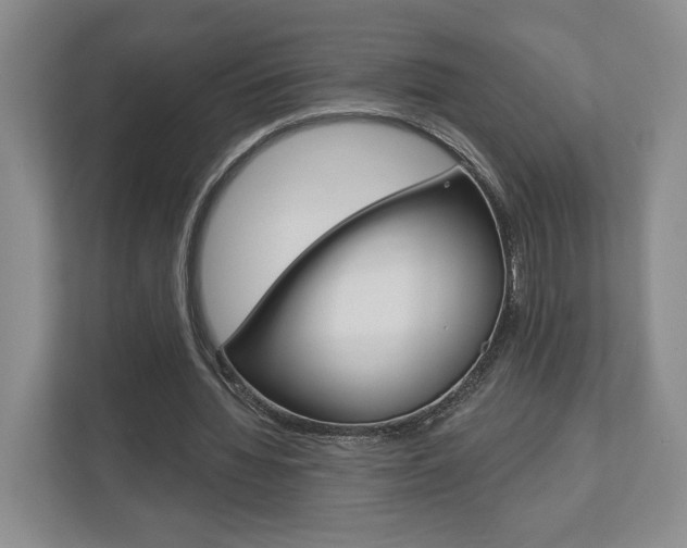 X0000113000436200908270923