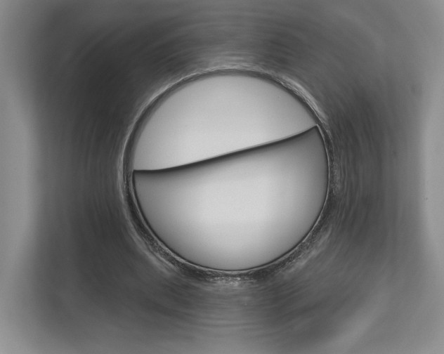 X0000113000439200908270923