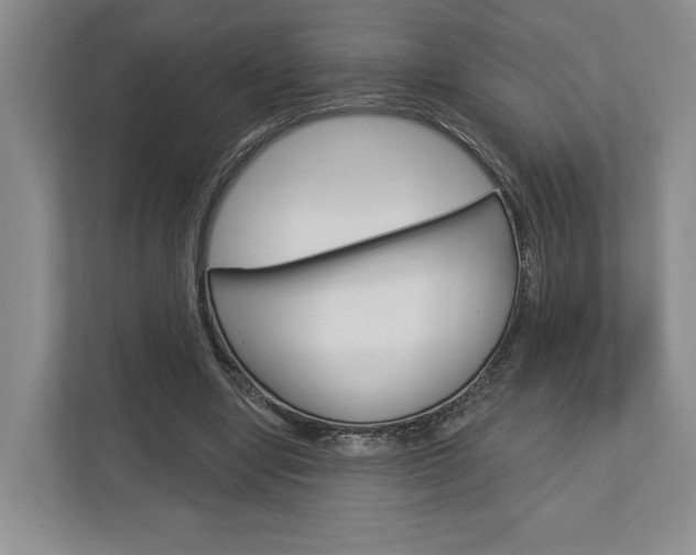 X0000113000442200908270923
