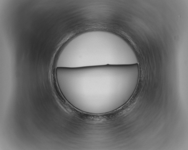 X0000113000443200908270923