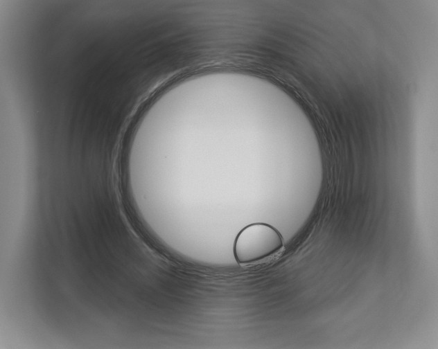 X0000113000444200908270923