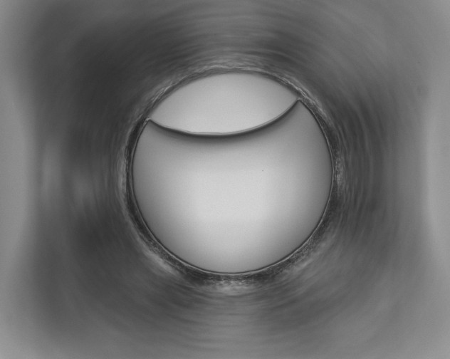 X0000113000445200908270923