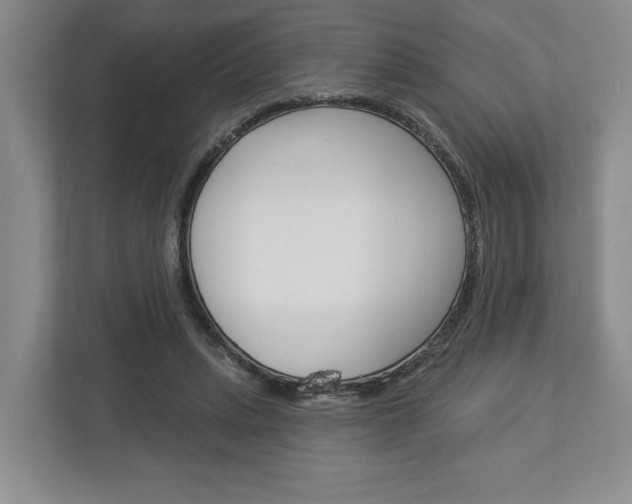 X0000113000447200908270923
