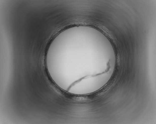 X0000113000449200908270923