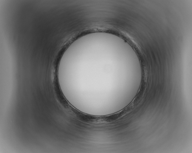 X0000113000451200908270923
