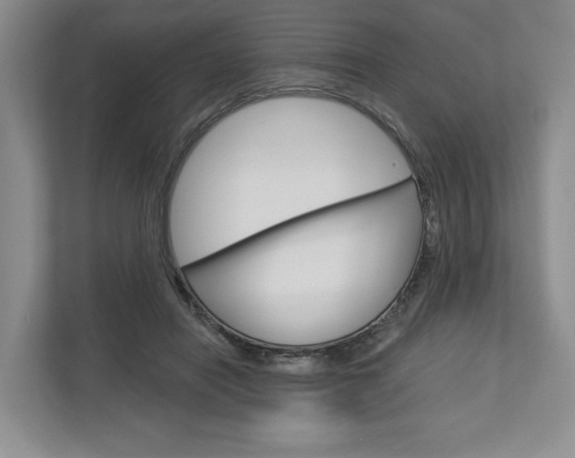 X0000113000454200908270923