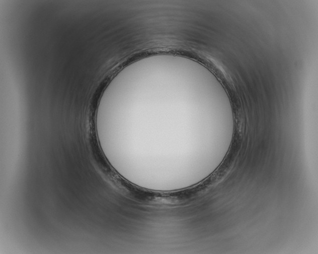 X0000113000455200908270923