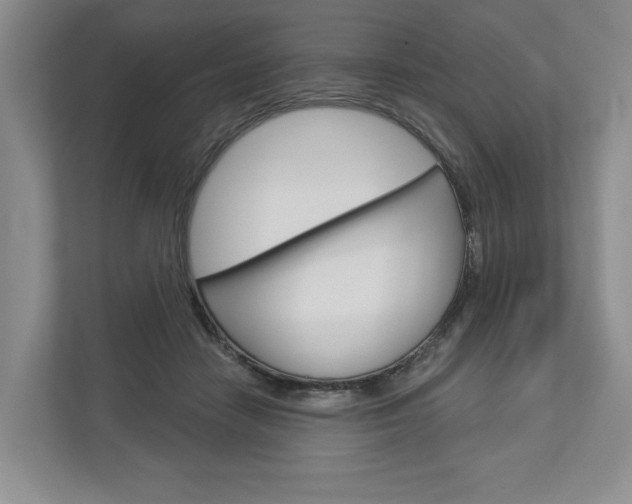 X0000113000458200908270923