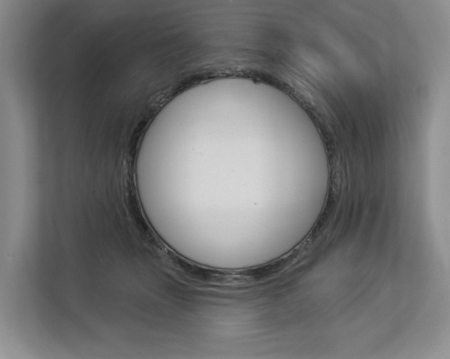 X0000113000463200908270923