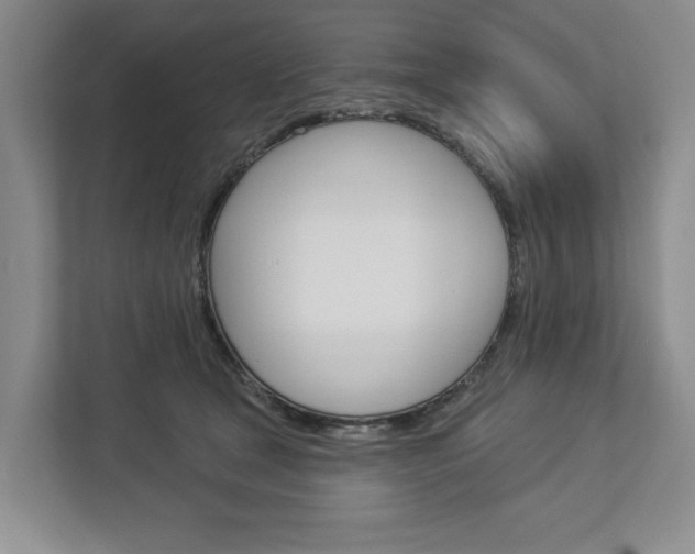 X0000113000465200908270923