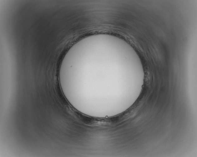 X0000113000466200908270923