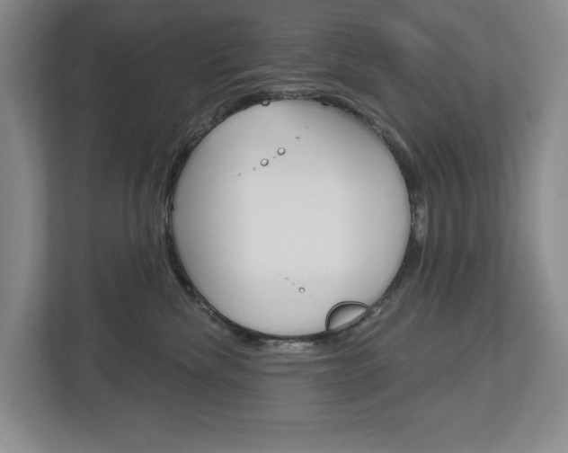 X0000113000476200908270923