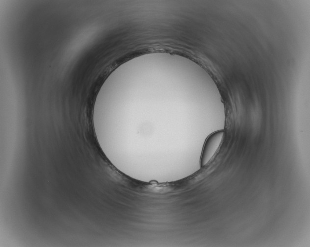 X0000113000477200908270923