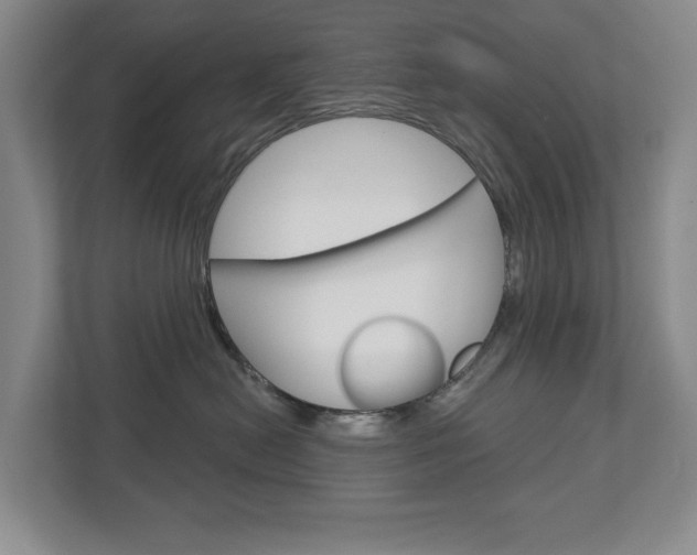 X0000113000478200908270923