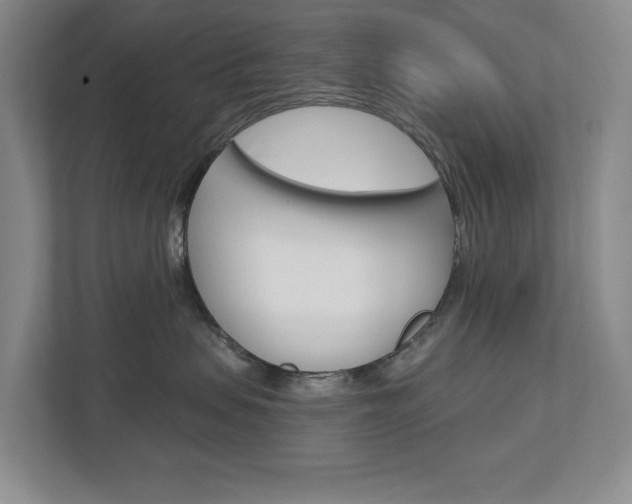 X0000113000479200908270923