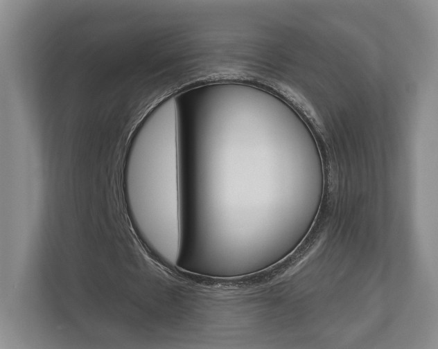 X0000113000481200908270923