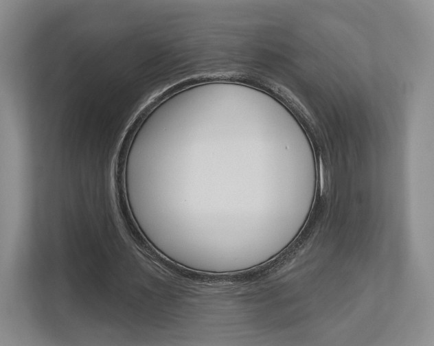 X0000113000483200908270923