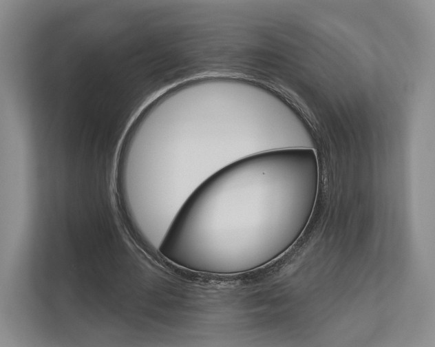 X0000113000484200908270923
