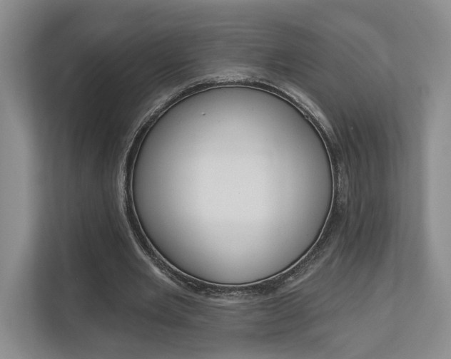 X0000113000485200908270922