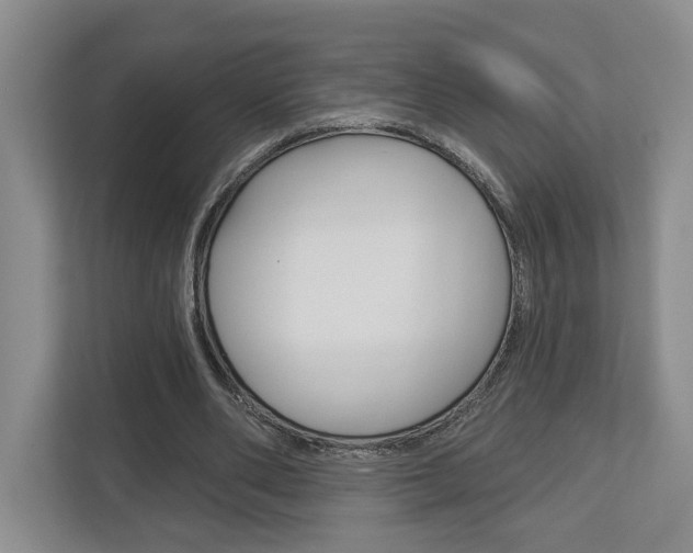 X0000113000486200908270922