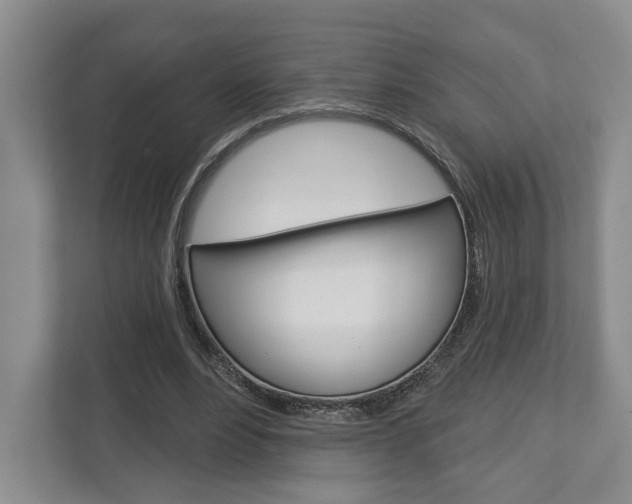X0000113000488200908270922