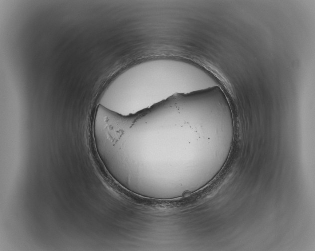 X0000113000489200908270922