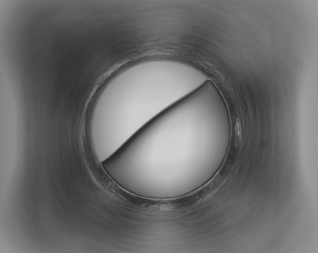 X0000113000492200908270922