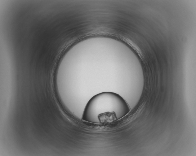 X0000113000493200908270922