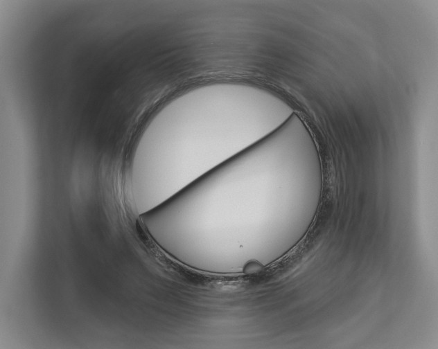 X0000113000495200908270922